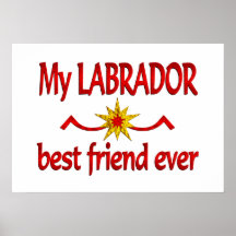 Mejor amigo de Labrador Impresiones