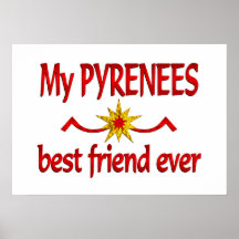 Mejor amigo de los Pirineos Poster