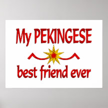 Mejor amigo de Pekingese Impresiones