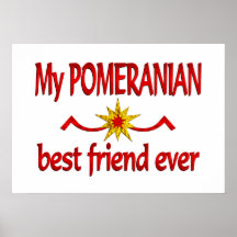 Mejor amigo de Pomeranian Poster