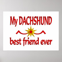 Mejor amigo del Dachshund Posters