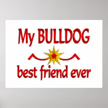 Mejor amigo del dogo poster