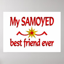 Mejor amigo del samoyedo posters
