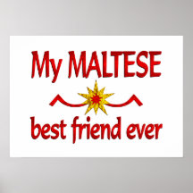 Mejor amigo maltés posters