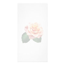 Melocotón-Coloreado color de rosa Tarjetas Fotograficas Personalizadas