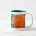 Melocotón subió tazas