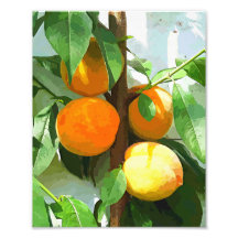 MELOCOTONES ARTE FOTOGRÁFICO