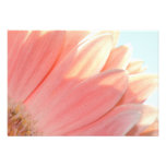 Melocotones y Crema-RSVP Invitaciones Personales