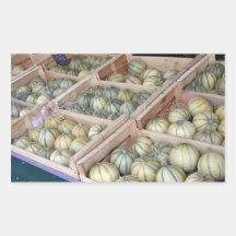 Melones de Charentais exhibidos en colmado Rectangular Pegatina