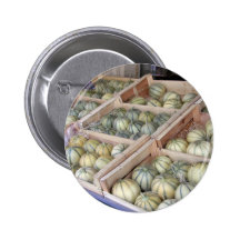 Melones de Charentais exhibidos en colmado Pins