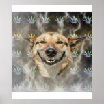 Meme del animal del consejo del perro de la deshue posters