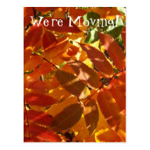 Memoria del otoño; Cambio de dirección Postales