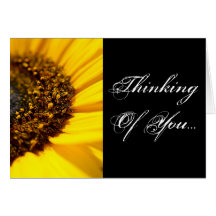Memorias del girasol que piensan en usted: Tarjeta