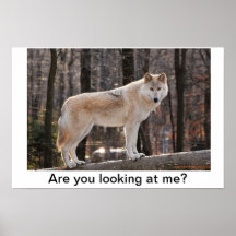 Menor Poster
