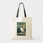 Menos Auklets Bolsas