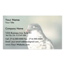 Menos Auklets Tarjeta Personal