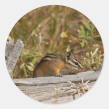 Menos chipmunk etiquetas  