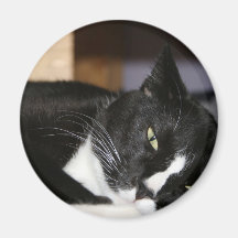 mentira blanco y negro del gato del smoking abajo  imanes para frigoríficos