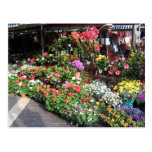Mercado de la flor en Niza en Francia Postal