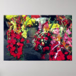 Mercado rojo de la flor, flores de Lima Poster