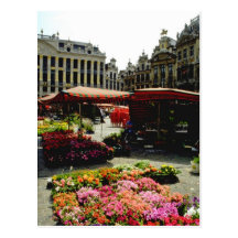 Mercado rosado de la flor en la plaza principal, B Tarjetas Postales