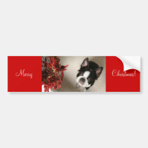 Merry Christmas! Cologalita バンパーステッカー