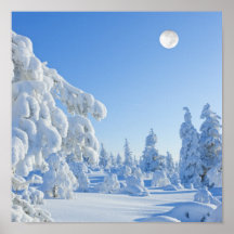 meses de invierno en Laponia Impresiones