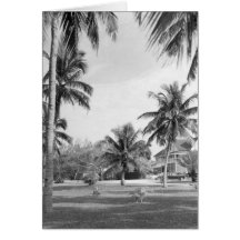 Mesón de Marco Island de capitán Bill Collier's, 1 Felicitación