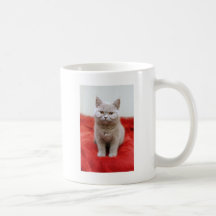 Metida de pata el gatito tazas