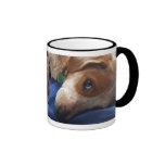 Mezcla adorable del beagle taza