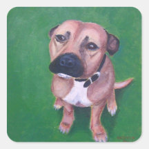 Mi 2012 staffy pegatinas cuadradases personalizadas