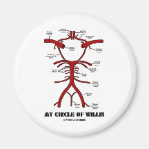 Mi círculo de Willis (humor anatómico de las arter Iman De Nevera