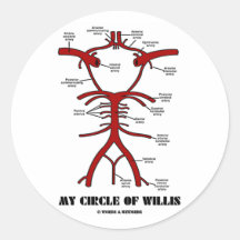 Mi círculo de Willis (humor anatómico de las arter Pegatina Redonda