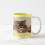 Mi corazón se vende en mi DOBLEZ ESCOCÉS Taza De Café