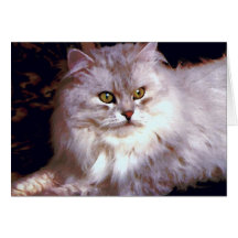 Mi gato tarjetas