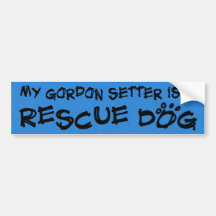 Mi organismo de Gordon es pegatina para el paracho Pegatina De Parachoque