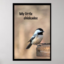 Mi pequeño chickadee poster