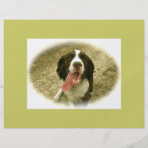 Mi perro de aguas fiel flyer personalizado