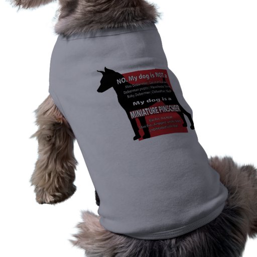 Mi perro no es… ropa perro