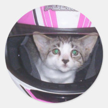 mi pimienta del gato en un gorra etiqueta