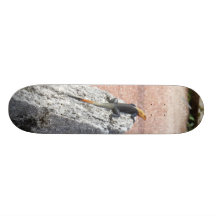 Mi roca patín