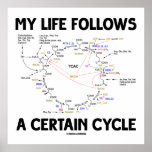 Mi vida sigue cierto ciclo (el ciclo de Krebs) Impresiones