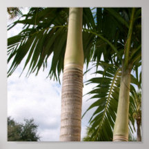 Miami Impresiones