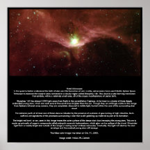Microcosmos natal poster