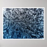 Microcosmos Poster