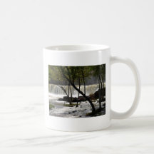 Middlebury baja     Vermont Tazas