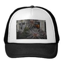 Miel marchitada gorros bordados