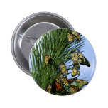Migración del monarca pins