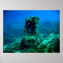 Mil pasos subacuáticos - Bonaire Impresiones