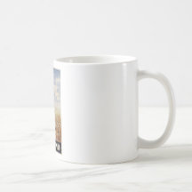 Milano Tazas